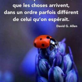 Citation Proverbe Et Citation Par Theme A Lire De Belles Citations D Amour Et Proverbes Francais